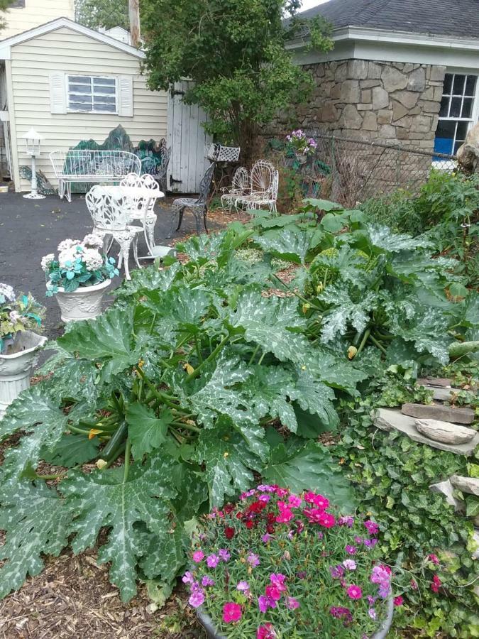 Hanover House Bed And Breakfast Niagara Falls Esterno foto